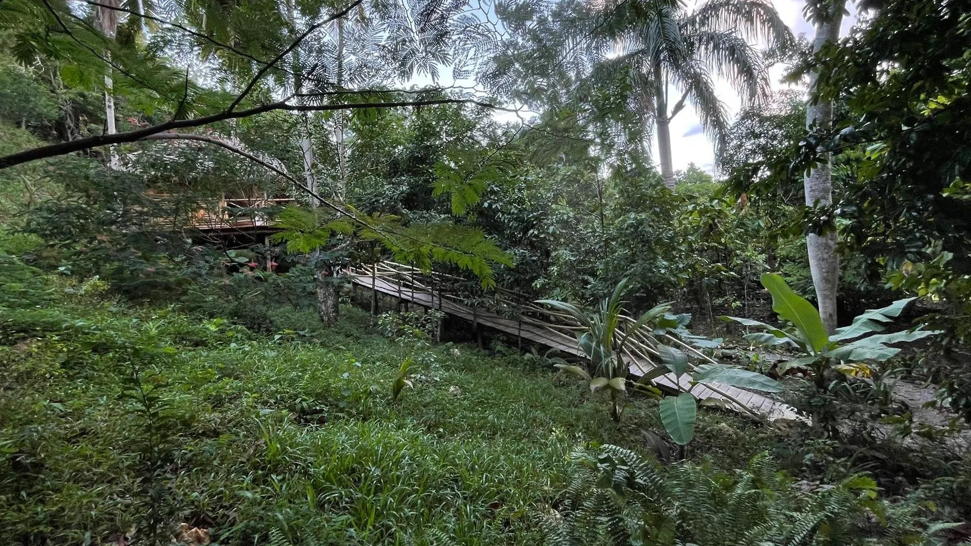 Lodge Rancho Romana Ecolodge Park V-01 El Limon